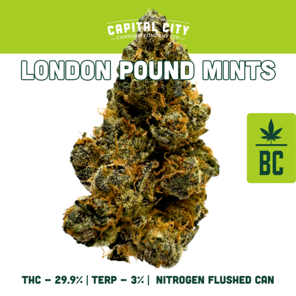 London Pound Mints - Kush Mints x London Pound Cake - Image 3
